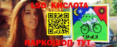 индика Новокубанск