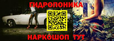 индика Новокубанск