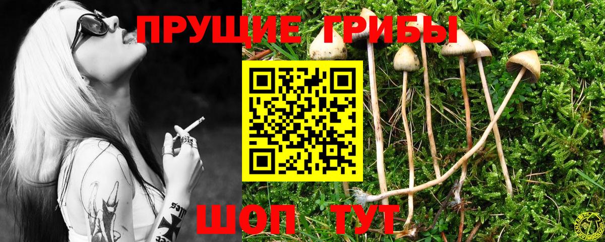 Галлюциногенные грибы MAGIC MUSHROOMS  Вход с VPN  Узловая 